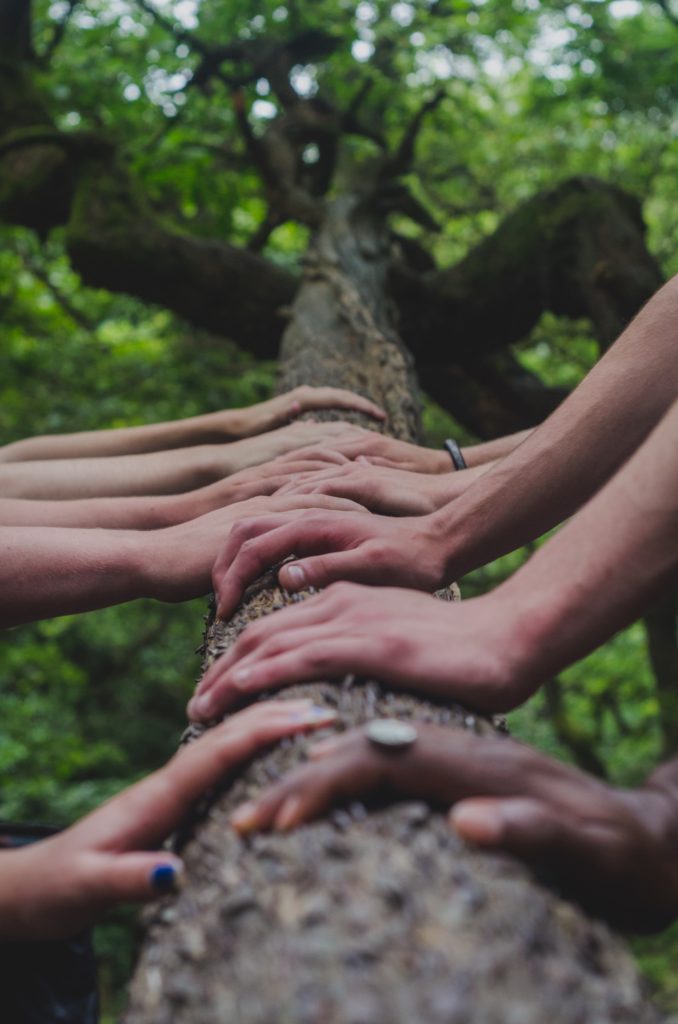 Agreements for net zero emissions